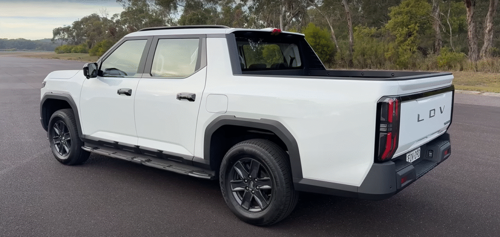 LDV Terron 9