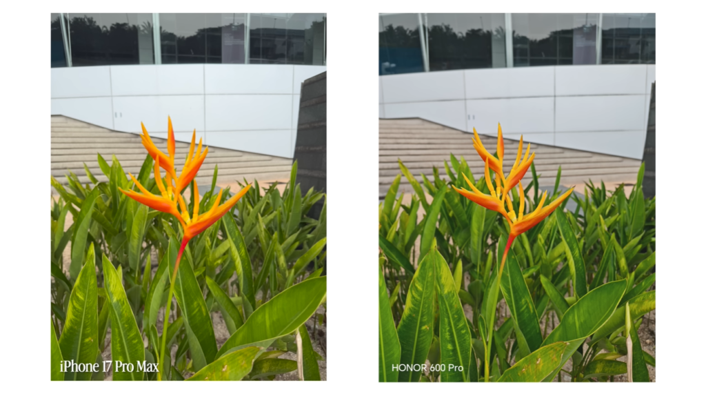 HONOR 600 Pro vs iPhone 17 Pro